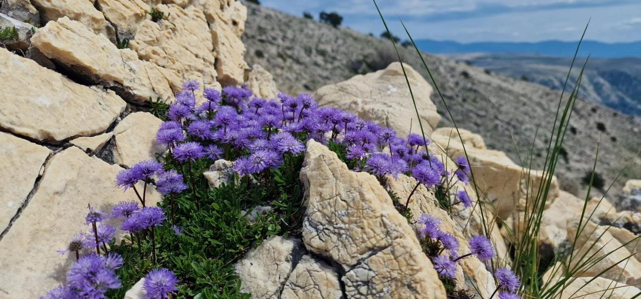 Swim And Climb Baska Holiday House - Island Krk Draga Bašćanska Екстериор снимка