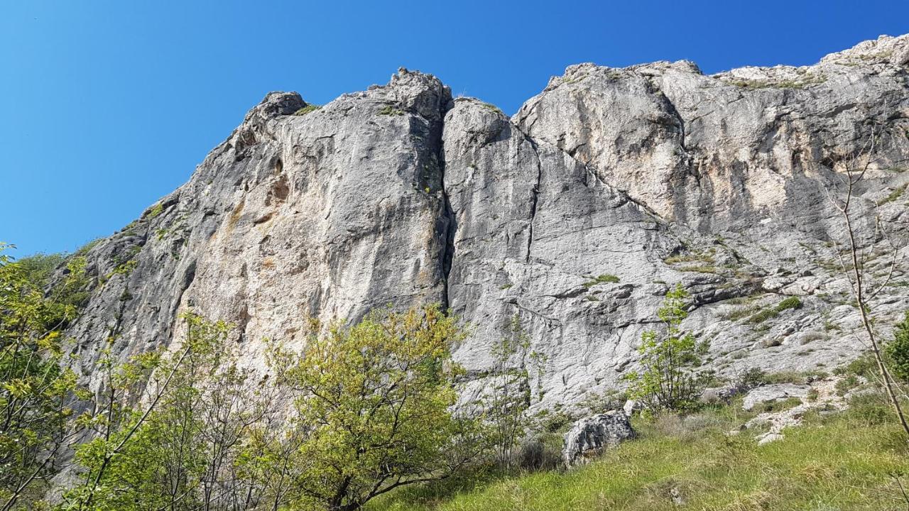 Swim And Climb Baska Holiday House - Island Krk Draga Bašćanska Екстериор снимка